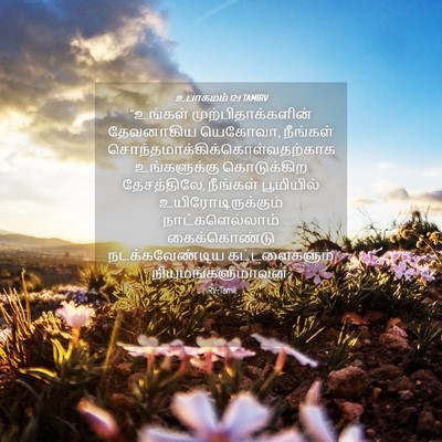 Picture 04 - உபாகமம் 12:1 TAMIRV - “உங்கள் - Bible Verse Picture