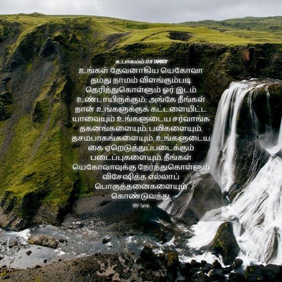 Picture 04 - உபாகமம் 12:11 TAMIRV - உங்கள் தேவனாகிய - Bible Verse Picture
