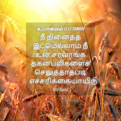Picture 04 - உபாகமம் 12:13 TAMIRV - நீ நினைத்த - Bible Verse Picture