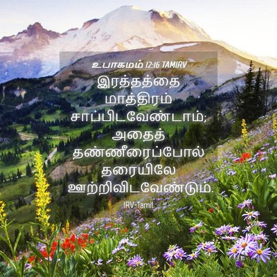Picture 04 - உபாகமம் 12:16 TAMIRV - இரத்தத்தை - Bible Verse Picture