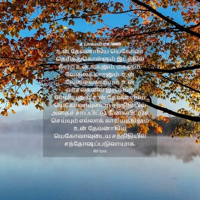 Picture 04 - உபாகமம் 12:18 TAMIRV - உன் தேவனாகிய - Bible Verse Picture