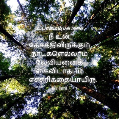 Picture 04 - உபாகமம் 12:19 TAMIRV - நீ உன் - Bible Verse Picture