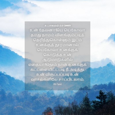 Picture 04 - உபாகமம் 12:21 TAMIRV - உன் தேவனாகிய - Bible Verse Picture