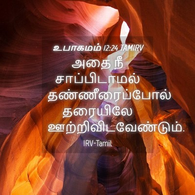 Picture 04 - உபாகமம் 12:24 TAMIRV - அதை நீ - Bible Verse Picture
