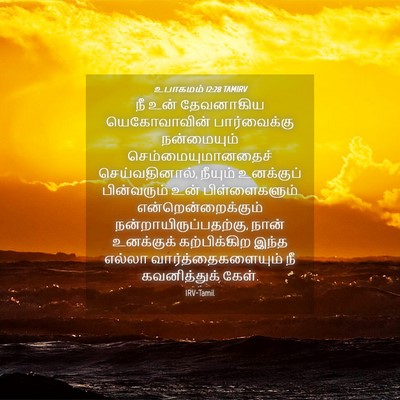 Picture 04 - உபாகமம் 12:28 TAMIRV - நீ உன் தேவனாகிய - Bible Verse Picture