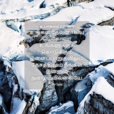 Picture 04 - உபாகமம் 12:9 TAMIRV - உங்கள் தேவனாகிய - Bible Verse Picture