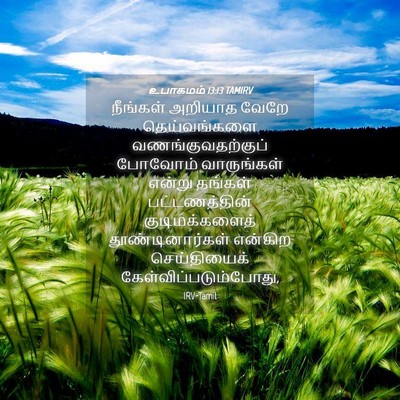 Picture 04 - உபாகமம் 13:13 TAMIRV - நீங்கள் அறியாத - Bible Verse Picture