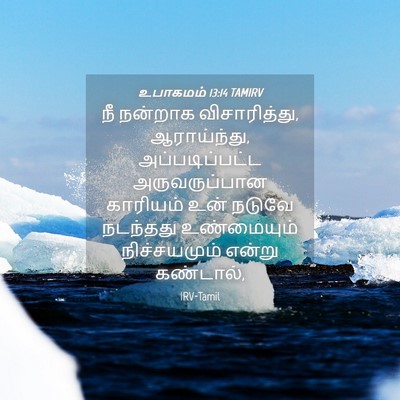 Picture 04 - உபாகமம் 13:14 TAMIRV - நீ நன்றாக - Bible Verse Picture