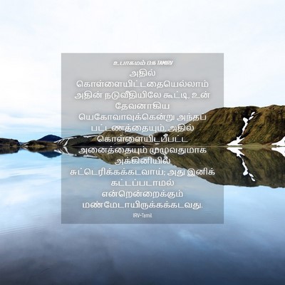 Picture 04 - உபாகமம் 13:16 TAMIRV - அதில் - Bible Verse Picture