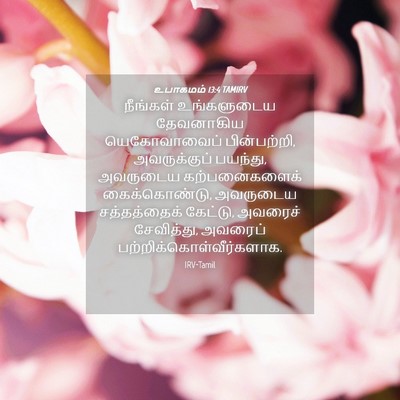 Picture 04 - உபாகமம் 13:4 TAMIRV - நீங்கள் உங்களுடைய - Bible Verse Picture
