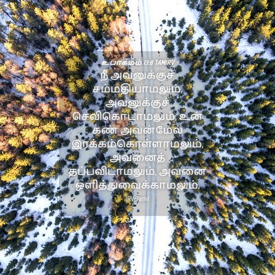 Picture 04 - உபாகமம் 13:8 TAMIRV - நீ அவனுக்குச் - Bible Verse Picture