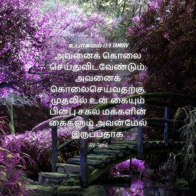 Picture 04 - உபாகமம் 13:9 TAMIRV - அவனைக் கொலை - Bible Verse Picture