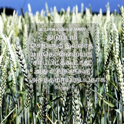 Picture 04 - உபாகமம் 14:10 TAMIRV - துடுப்பும் - Bible Verse Picture