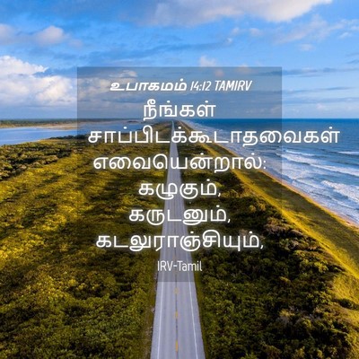 Picture 04 - உபாகமம் 14:12 TAMIRV - நீங்கள் - Bible Verse Picture