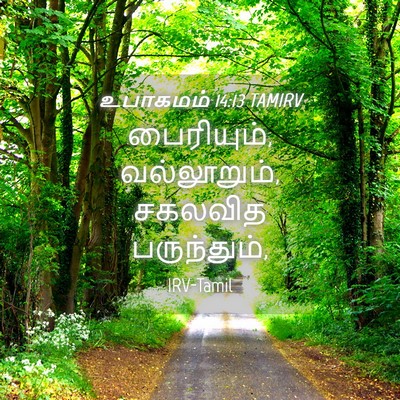 Picture 04 - உபாகமம் 14:13 TAMIRV - பைரியும், - Bible Verse Picture
