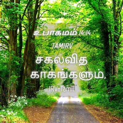 Picture 04 - உபாகமம் 14:14 TAMIRV - சகலவித - Bible Verse Picture