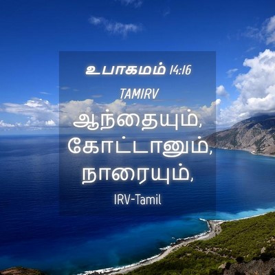 Picture 04 - உபாகமம் 14:16 TAMIRV - ஆந்தையும், - Bible Verse Picture