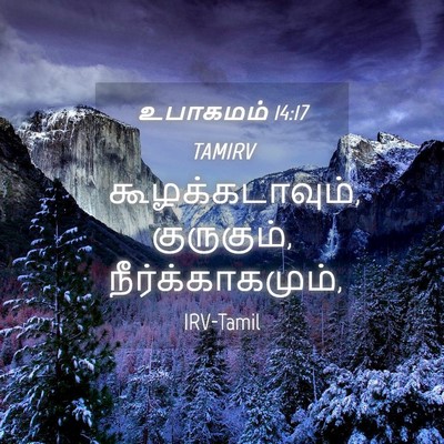 Picture 04 - உபாகமம் 14:17 TAMIRV - கூழக்கடாவும், - Bible Verse Picture