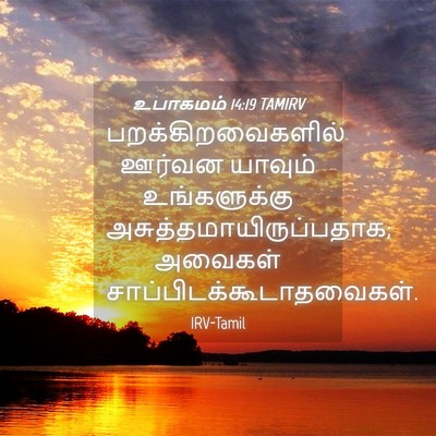 Picture 04 - உபாகமம் 14:19 TAMIRV - பறக்கிறவைகளில் - Bible Verse Picture