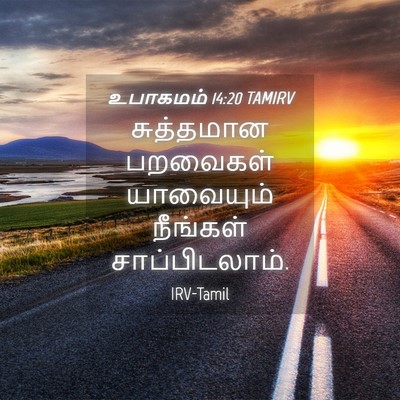 Picture 04 - உபாகமம் 14:20 TAMIRV - சுத்தமான பறவைகள் - Bible Verse Picture