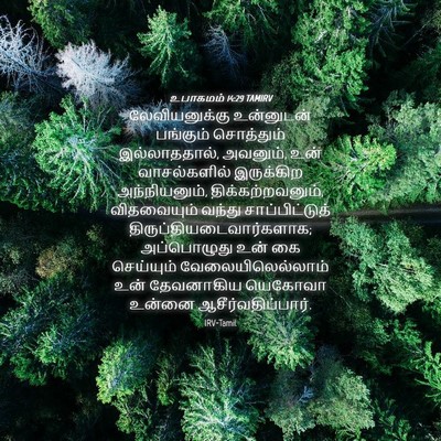 Picture 04 - உபாகமம் 14:29 TAMIRV - லேவியனுக்கு - Bible Verse Picture
