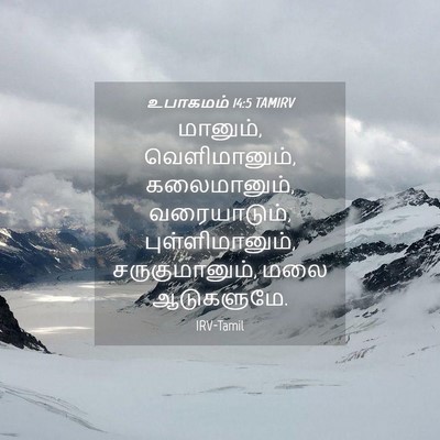 Picture 04 - உபாகமம் 14:5 TAMIRV - மானும், - Bible Verse Picture