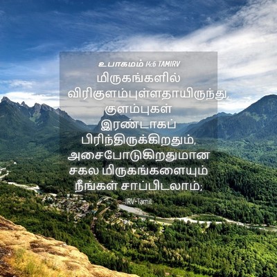 Picture 04 - உபாகமம் 14:6 TAMIRV - மிருகங்களில் - Bible Verse Picture