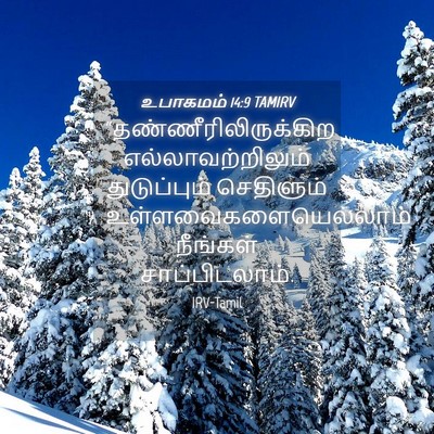 Picture 04 - உபாகமம் 14:9 TAMIRV -  - Bible Verse Picture