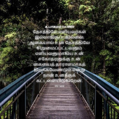 Picture 04 - உபாகமம் 15:11 TAMIRV - தேசத்திலே - Bible Verse Picture