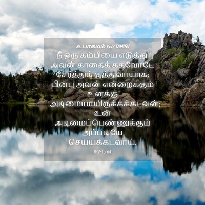 Picture 04 - உபாகமம் 15:17 TAMIRV - நீ ஒரு கம்பியை - Bible Verse Picture