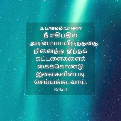 Picture 04 - உபாகமம் 16:12 TAMIRV - நீ எகிப்தில் - Bible Verse Picture