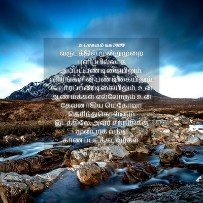 Picture 04 - உபாகமம் 16:16 TAMIRV - வருடத்தில் - Bible Verse Picture