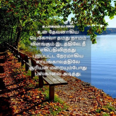 Picture 04 - உபாகமம் 16:6 TAMIRV - உன் தேவனாகிய - Bible Verse Picture