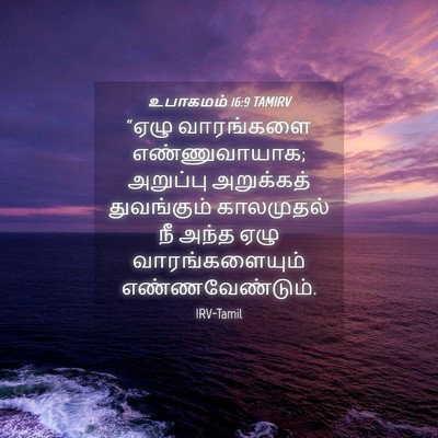 Picture 04 - உபாகமம் 16:9 TAMIRV - “ஏழு வாரங்களை - Bible Verse Picture