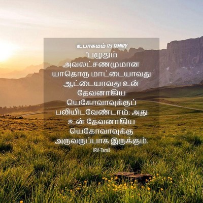 Picture 04 - உபாகமம் 17:1 TAMIRV - “பழுதும் - Bible Verse Picture