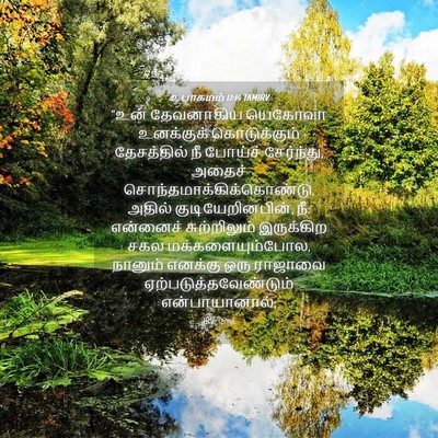 Picture 04 - உபாகமம் 17:14 TAMIRV - “உன் தேவனாகிய - Bible Verse Picture