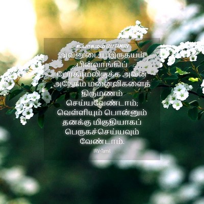 Picture 04 - உபாகமம் 17:17 TAMIRV - அவனுடைய இருதயம் - Bible Verse Picture