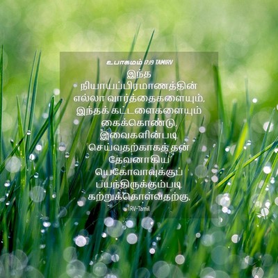 Picture 04 - உபாகமம் 17:19 TAMIRV - இந்த - Bible Verse Picture
