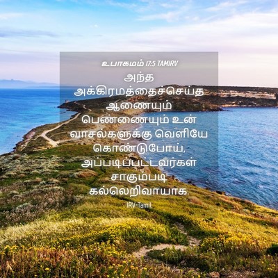 Picture 04 - உபாகமம் 17:5 TAMIRV - அந்த - Bible Verse Picture