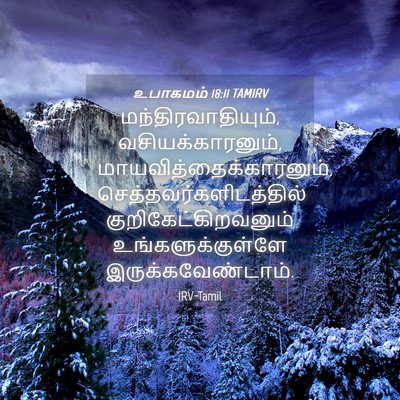 Picture 04 - உபாகமம் 18:11 TAMIRV - மந்திரவாதியும், - Bible Verse Picture