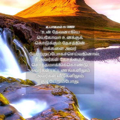 Picture 04 - உபாகமம் 19:1 TAMIRV - “உன் தேவனாகிய - Bible Verse Picture