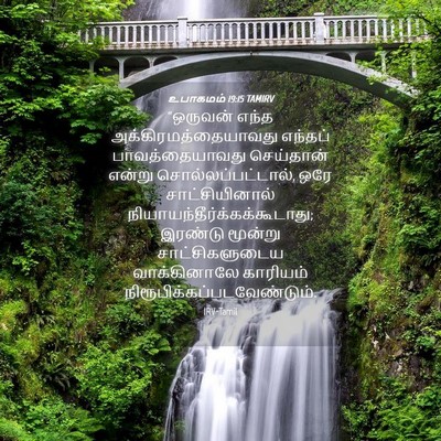 Picture 04 - உபாகமம் 19:15 TAMIRV - “ஒருவன் எந்த - Bible Verse Picture