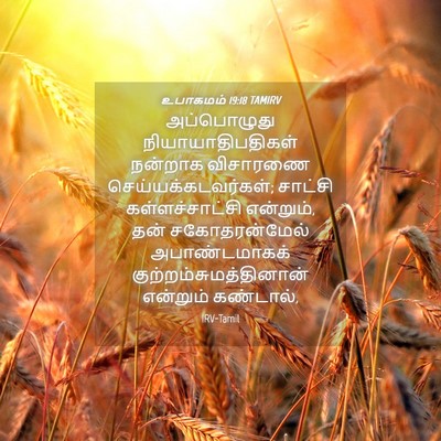 Picture 04 - உபாகமம் 19:18 TAMIRV - அப்பொழுது - Bible Verse Picture