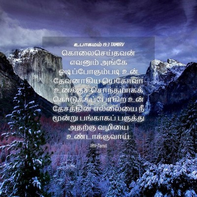 Picture 04 - உபாகமம் 19:3 TAMIRV - கொலைசெய்தவன் - Bible Verse Picture
