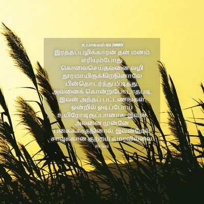 Picture 04 - உபாகமம் 19:6 TAMIRV -  - Bible Verse Picture