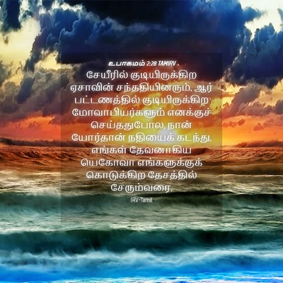 Picture 04 - உபாகமம் 2:28 TAMIRV - சேயீரில் - Bible Verse Picture
