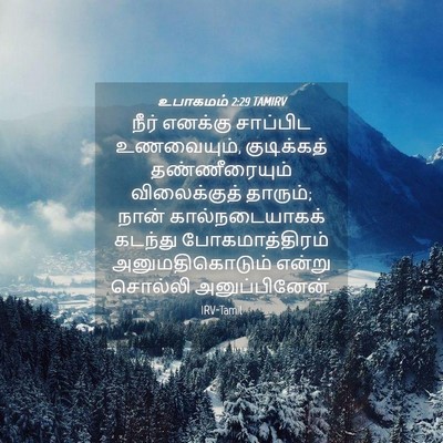 Picture 04 - உபாகமம் 2:29 TAMIRV - நீர் எனக்கு - Bible Verse Picture