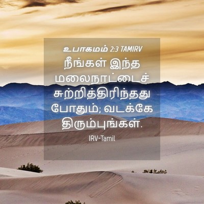 Picture 04 - உபாகமம் 2:3 TAMIRV - நீங்கள் இந்த - Bible Verse Picture