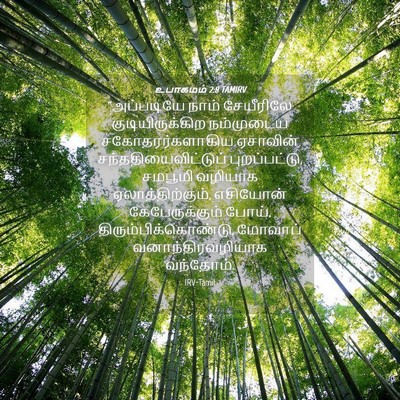 Picture 04 - உபாகமம் 2:8 TAMIRV - “அப்படியே நாம் - Bible Verse Picture