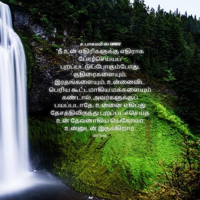 Picture 04 - உபாகமம் 20:1 TAMIRV - “நீ உன் - Bible Verse Picture